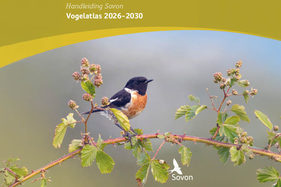 Handleiding Vogelatlas beschikbaar in PDF