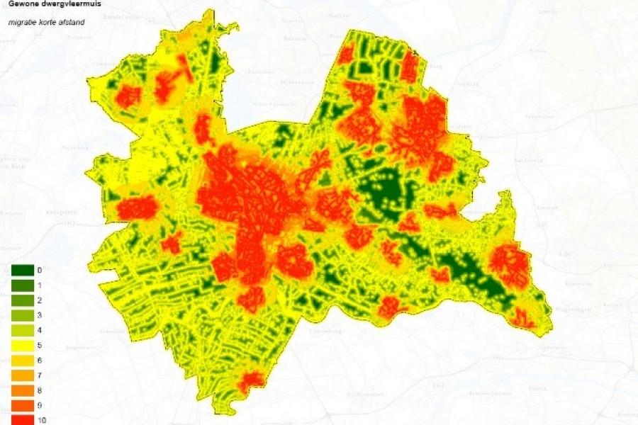 Kaartbeeld voor vleermuizen