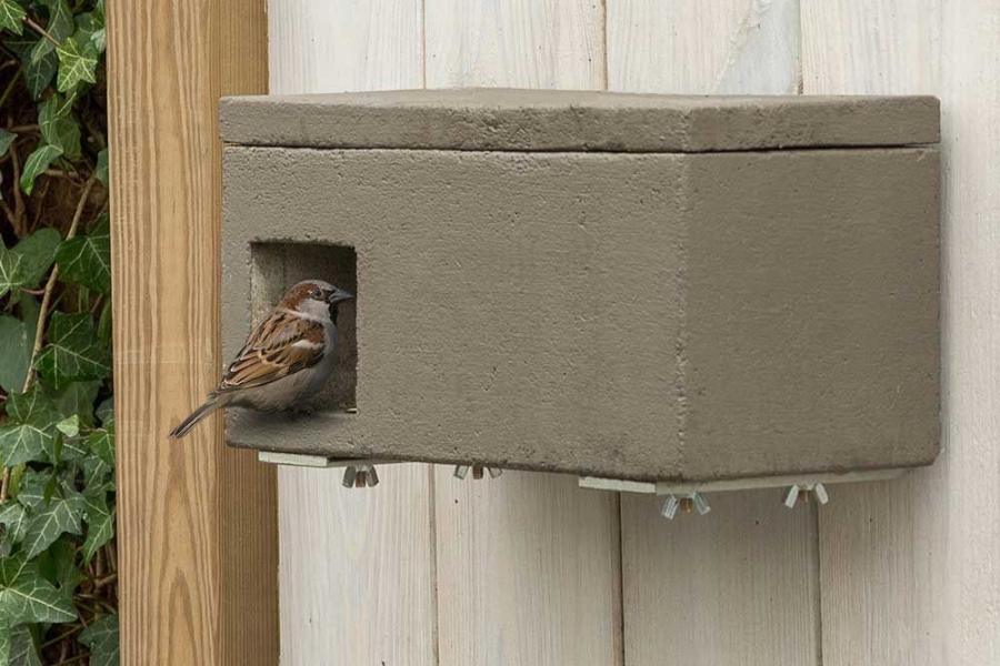 Nestkast voor de huismus