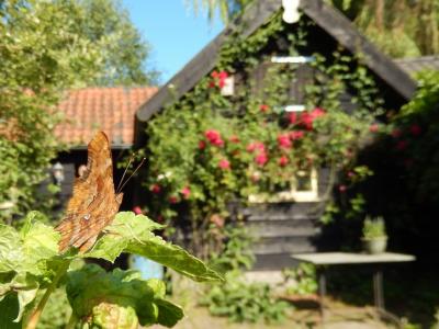 Tuin