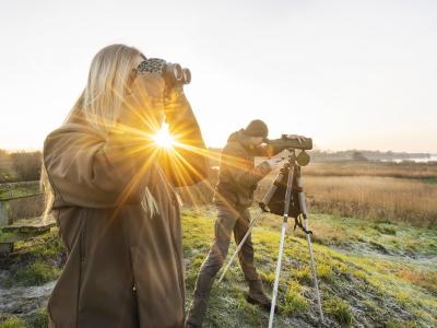 Watervogels tellen op de Grote Wielen