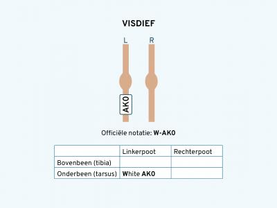 Visdief ringschema 1