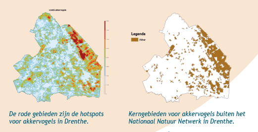 Hotspots akkervogels Drenthe