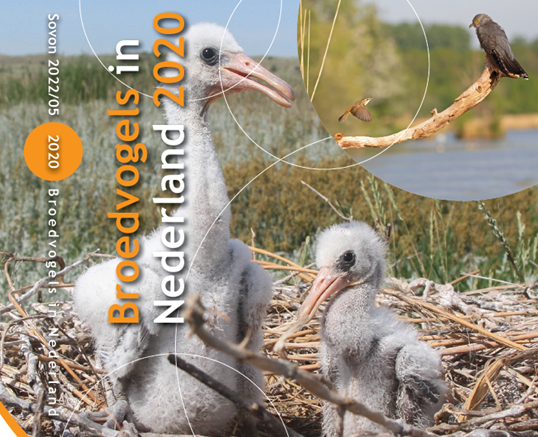 Broedvogelrapport 2020