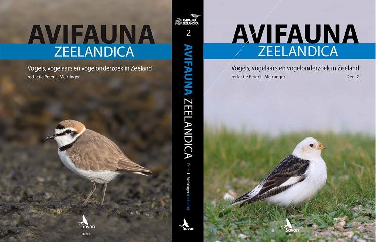 Avifauna Zeelandica