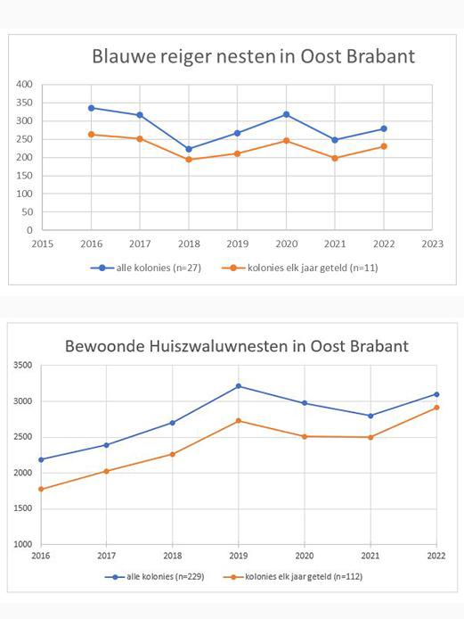 Blauwe Reigers en Huiszwaluwen in Oost-Brabant in 2022