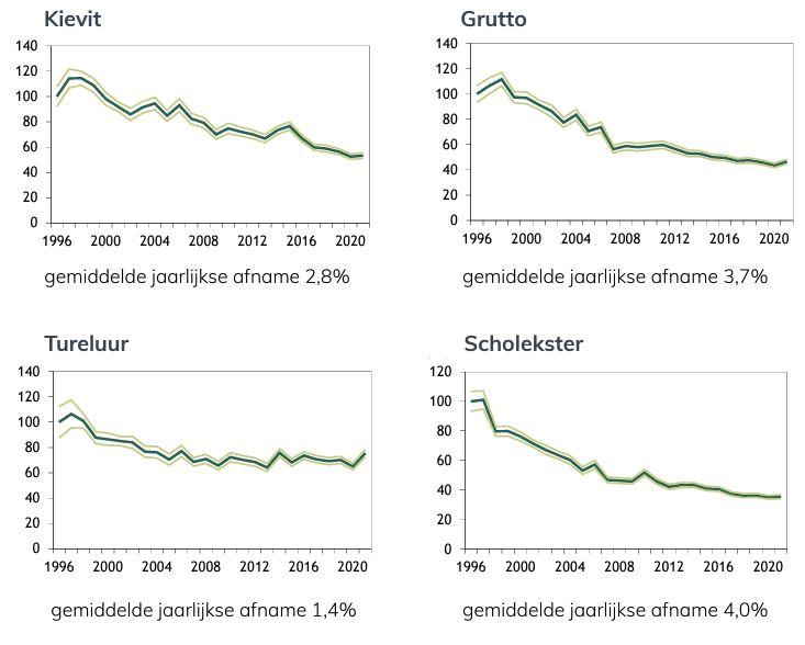 Trendfiguur weidevogels Fryslan