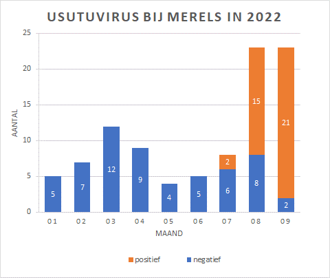 Grafiek aantal merels per maand met usutuvirus infectie in 2022