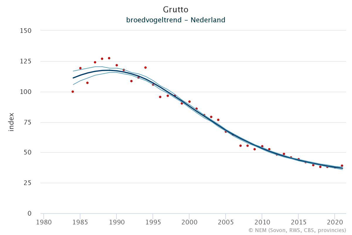 grutto bmp trend