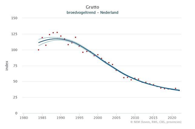 Grutto trend