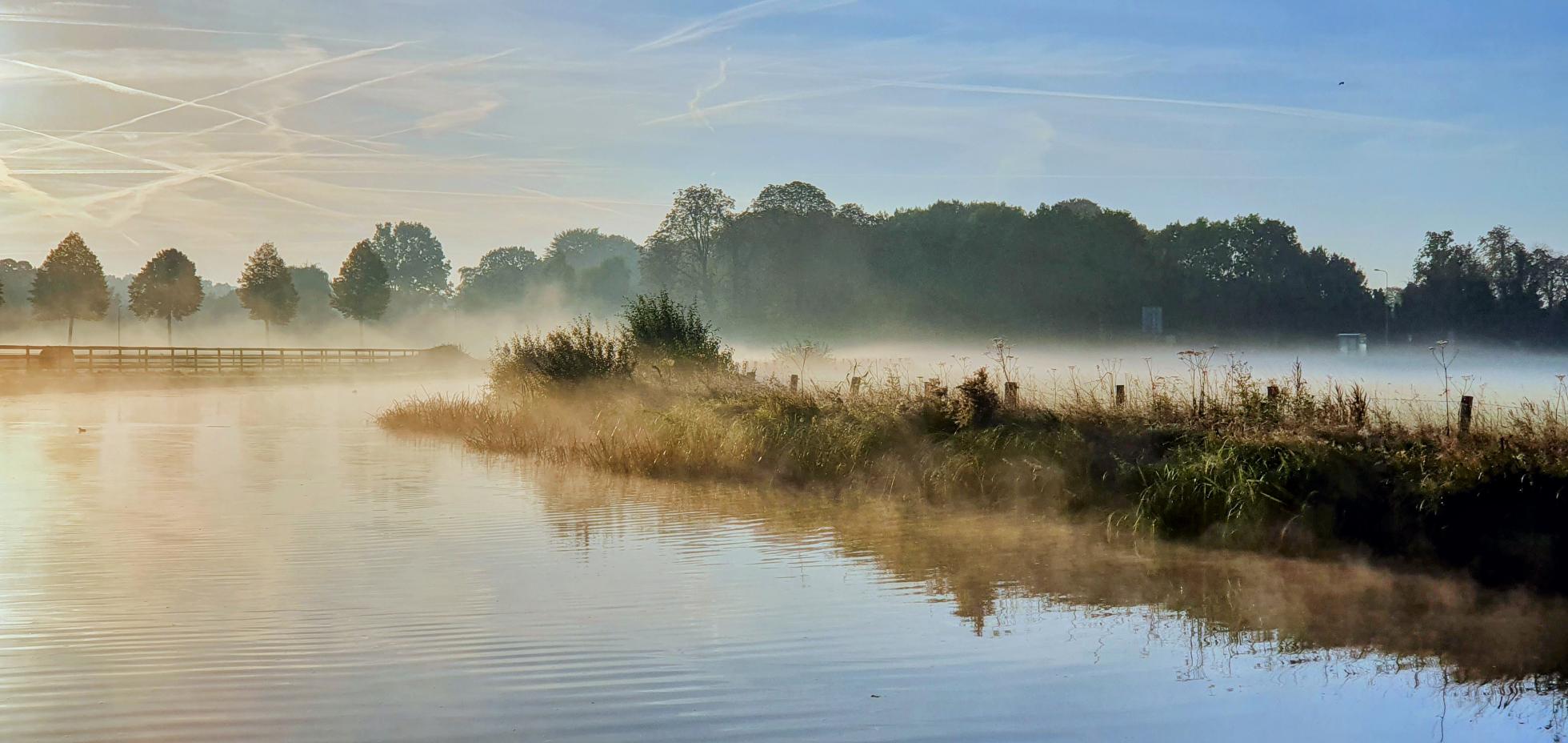 Natuurgebied in de mist