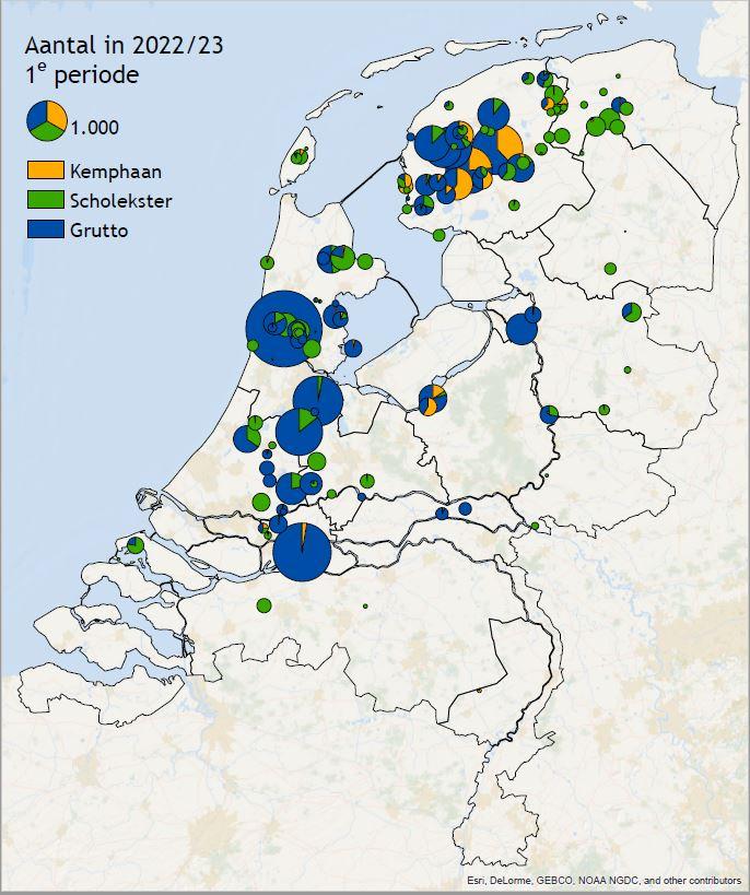 Kemphaan 1e periode