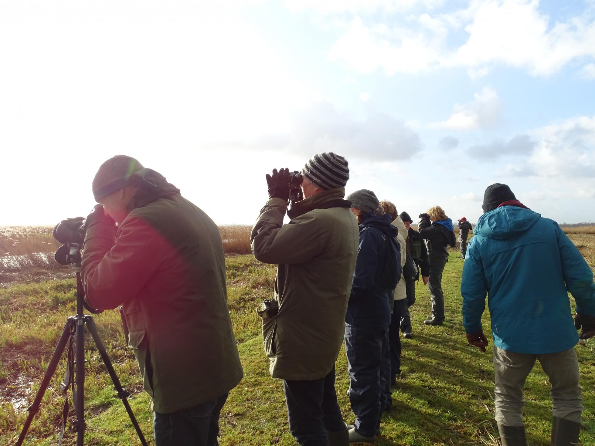 Vogeltellers in actie