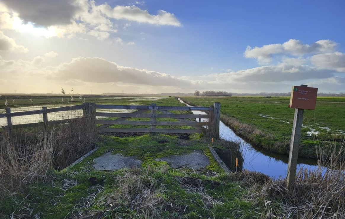 Weidevogelreservaat Oosterwolde