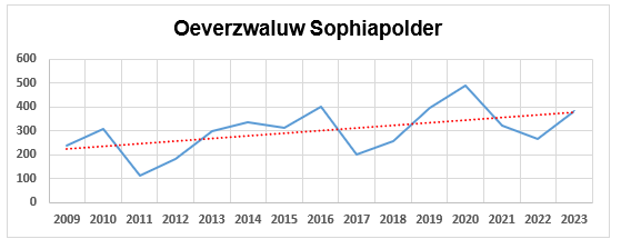 Oeverzwaluw Sophiapolder