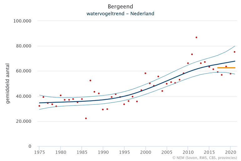 Seizoensgemiddelden van de bergeend in Nederland in periode van 1975 tot 2020