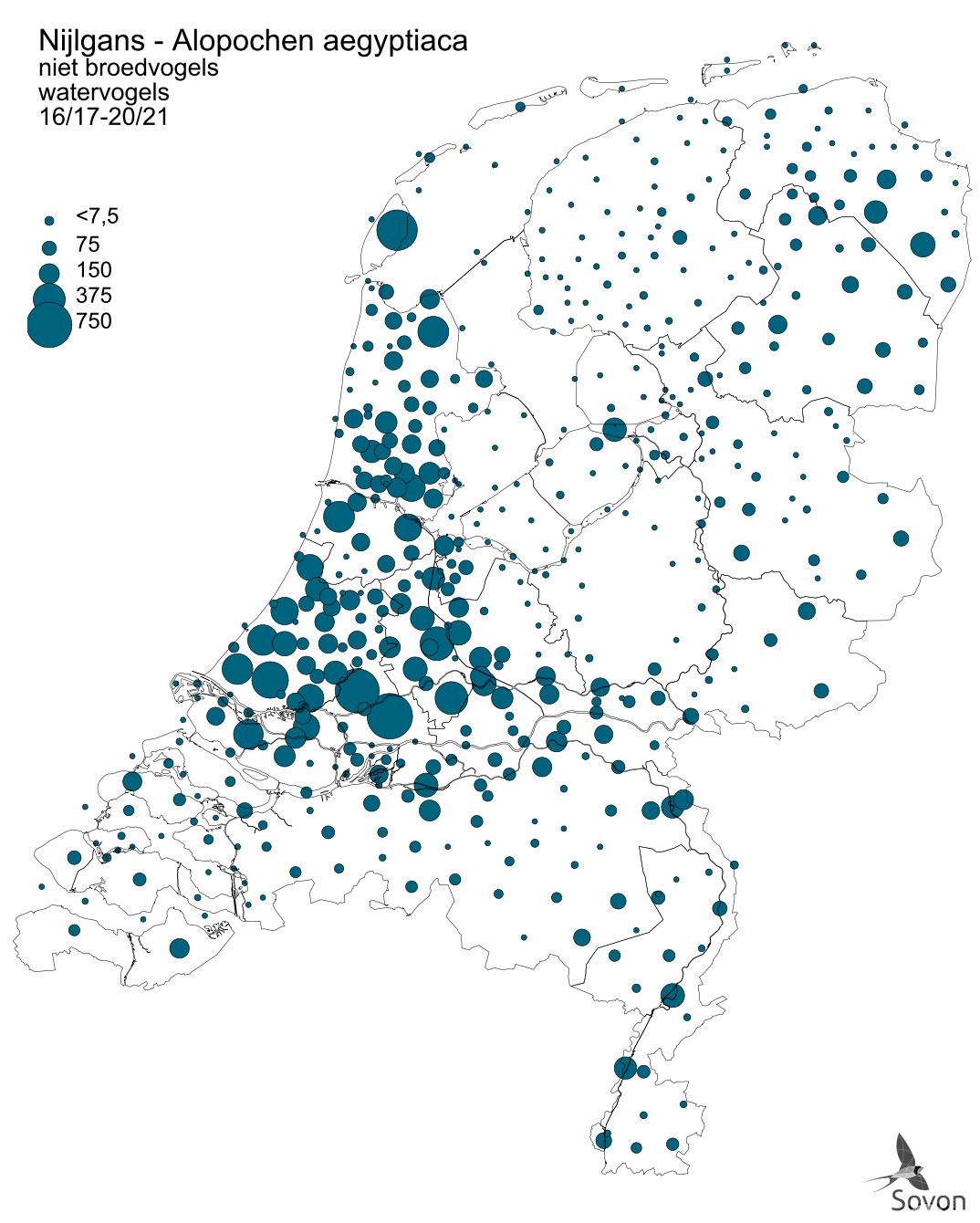 De verspreiding en talrijkheid van de Nijlgans als pleisteraar op basis van de tellingen uit het Watervogelmeetnet.