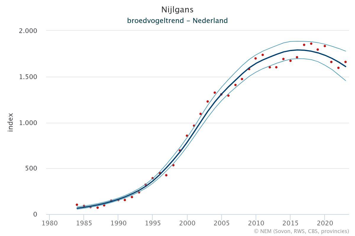 Aantalsontwikkeling van de broedpopulatie Nijlganzen in Nederland
