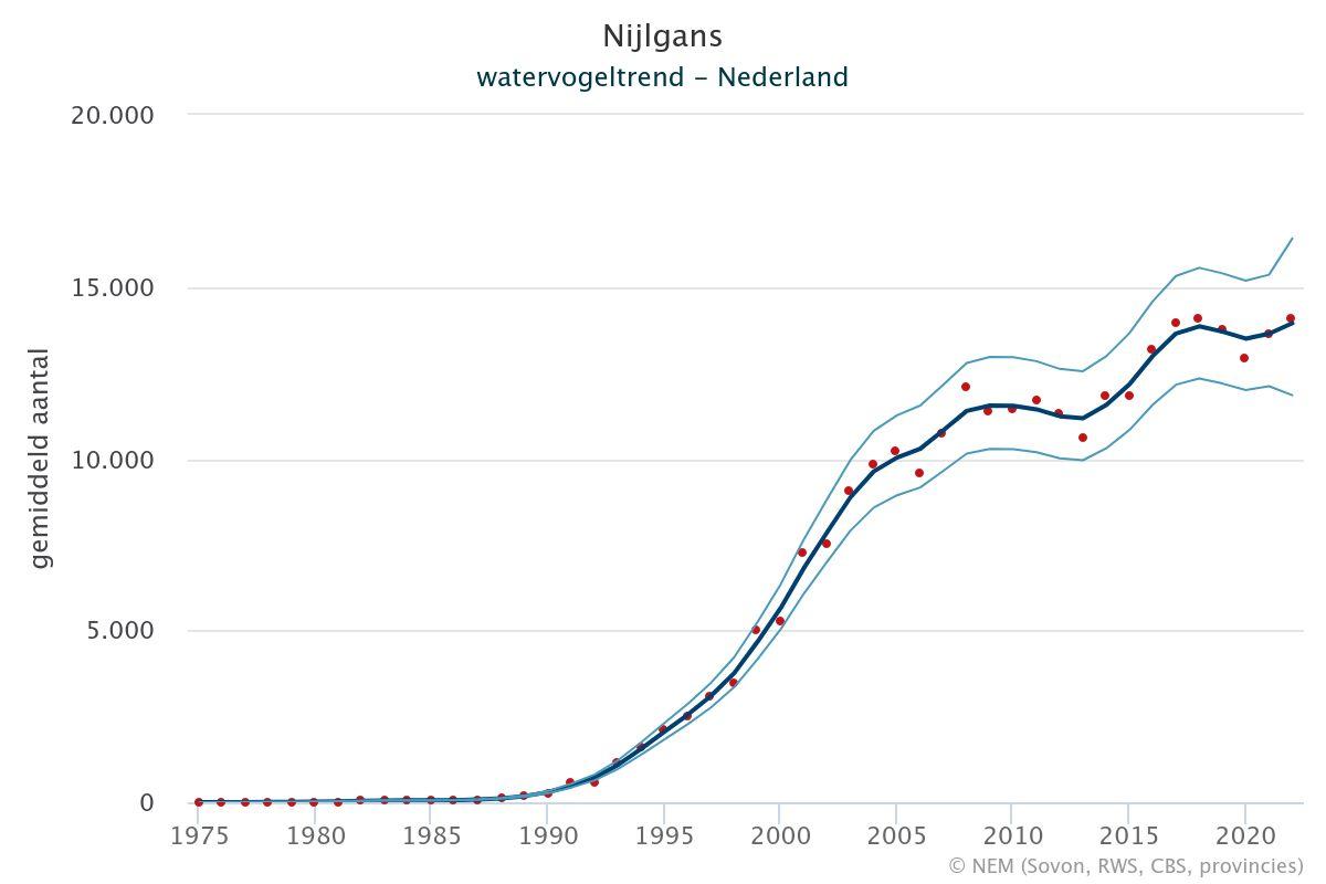 Aantalsontwikkeling van pleisterende Nijlganzen in Nederland.