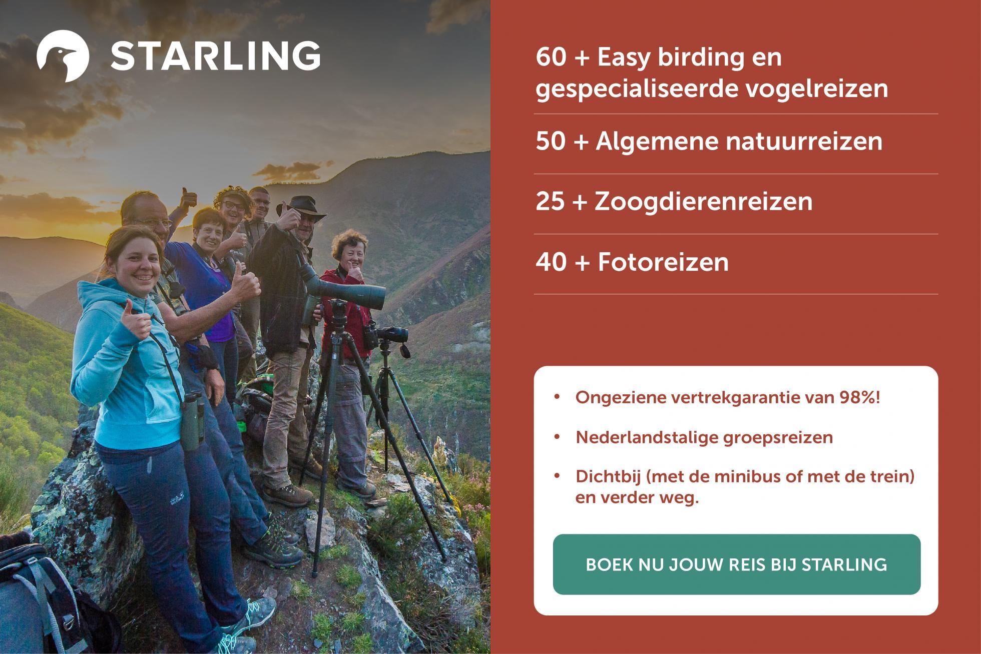 Starling reizen