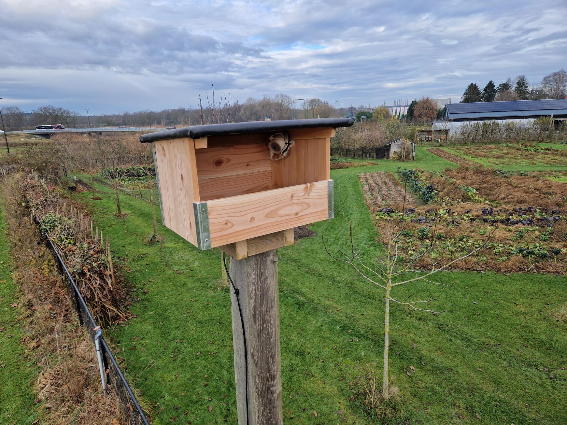 Torenvalkkast met camera