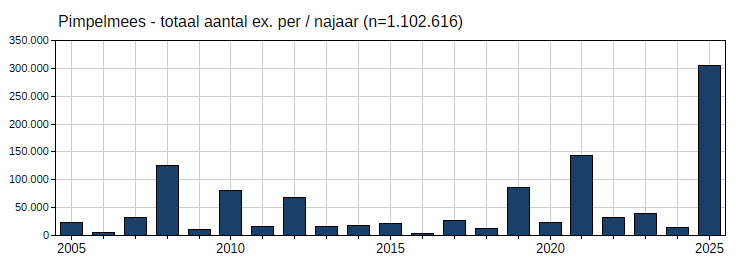 Figuur 3. Aantallen van de pimpelmees per najaar, waargenomen vanaf de Nederlandse trektelposten in de periode 2005-2025. (Bron: trektellen.nl)