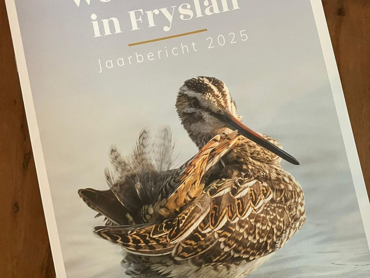 Cover Jaarbericht Friese weidevogels 2025