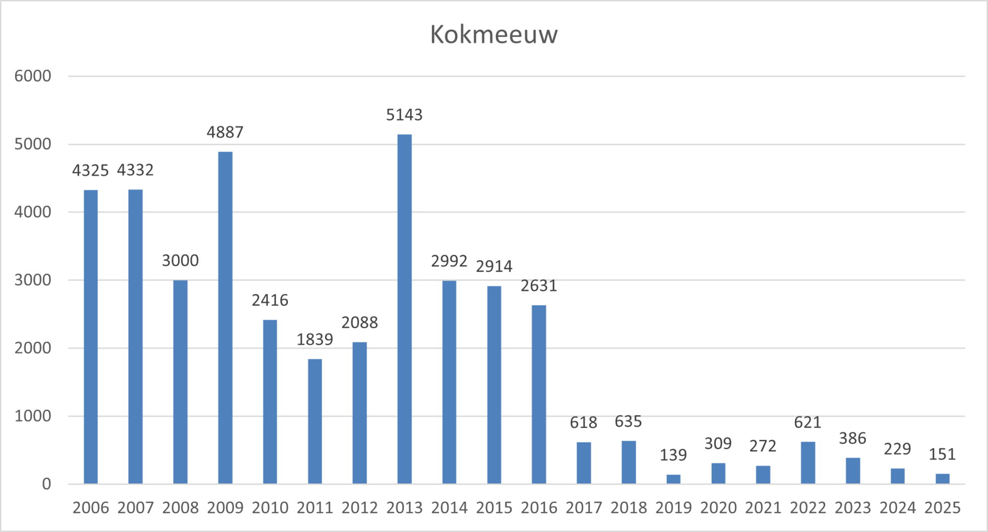 kokmeeuw zo brabant