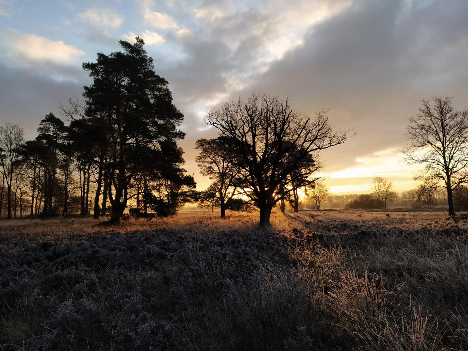 de Empese en Tondense Heide,  landschappelijk een zeer gevarieerd en vogelrijk natuurgebied.