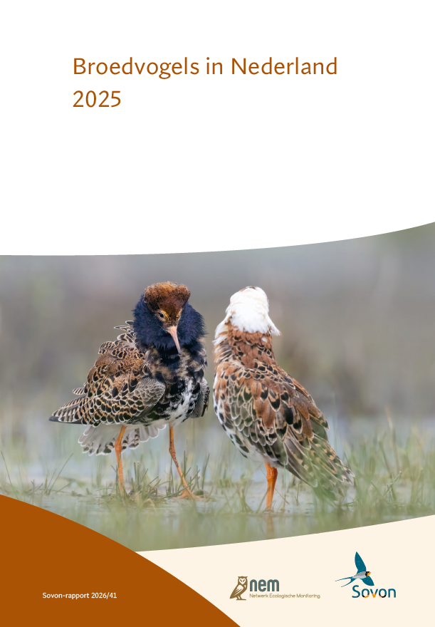 Broedvogelrapport 2025