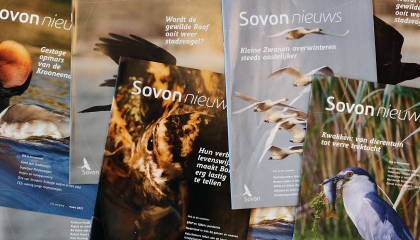 Covers van Sovon-nieuws