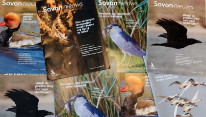 Covers van Sovon-nieuws