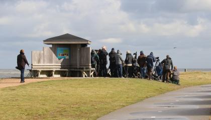 Trektellen aan zee