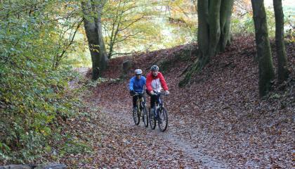 Mountain bikers in het Bergherbos