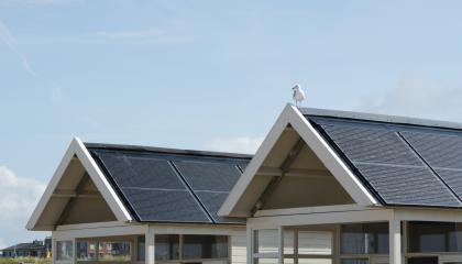 Meeuw op dak met zonnepanelen