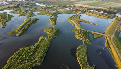 Biesbosch