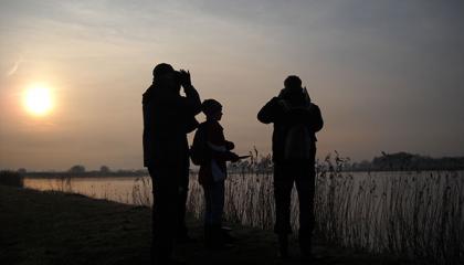 Zonsondergang in Friesland