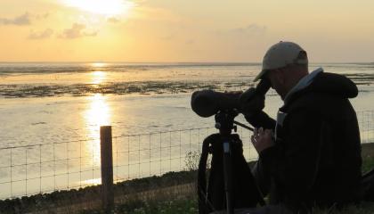 Vogelaar kijkt over het Wad