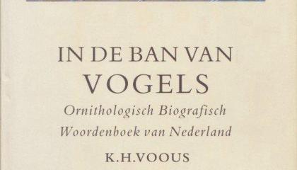 In de ban van vogels