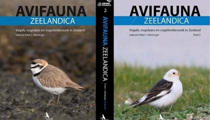 Avifauna Zeelandica