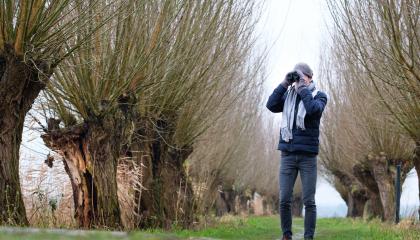 Kijkende vogelaar