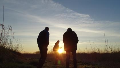 BMP cursus