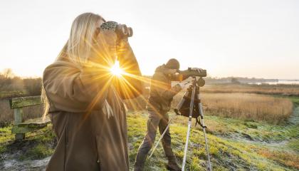 Watervogels tellen op de Grote Wielen