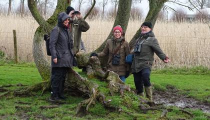 Tellers in Zeeuws-Vlaanderen