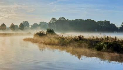 Natuurgebied in de mist