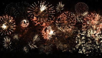 Vogels op de vlucht voor vuurwerk