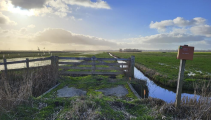 Weidevogelreservaat Oosterwolde