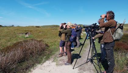 Tapuiten excursie op Texel