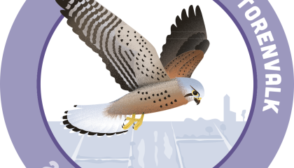 Logo Jaar van de Torenvalk