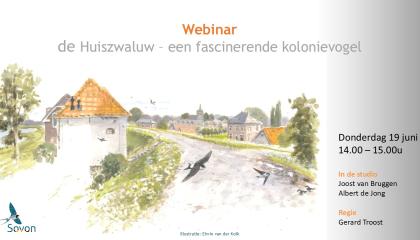 webinar huiszwaluw